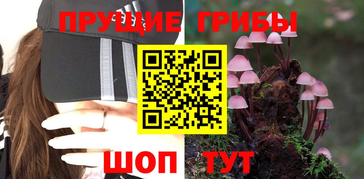 Псилоцибиновые грибы Magic Shrooms Татарск