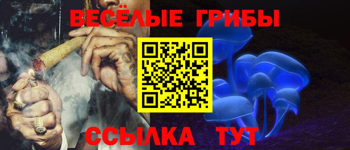 Галлюциногенные грибы мицелий  Псилоцибиновые грибы Psilocybine cubensis  Татарск  Вход с VPN 